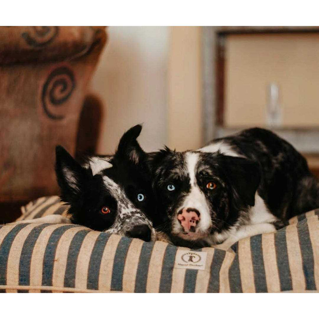 Harry Barker Vintage Stripe Envelope Dog Bed - Pet Supplies online store