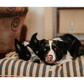 Harry Barker Vintage Stripe Envelope Dog Bed - Pet Supplies online store