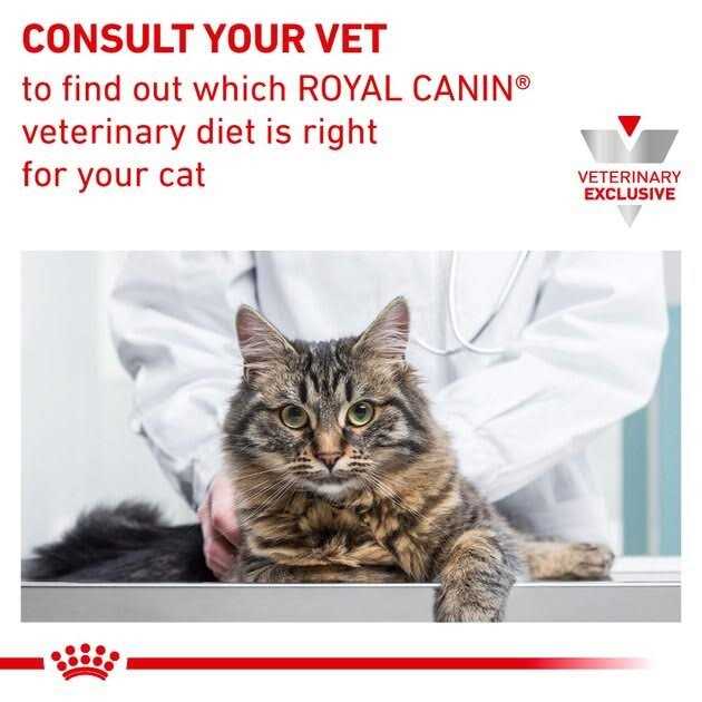 Feline Calm Dry Food Q930