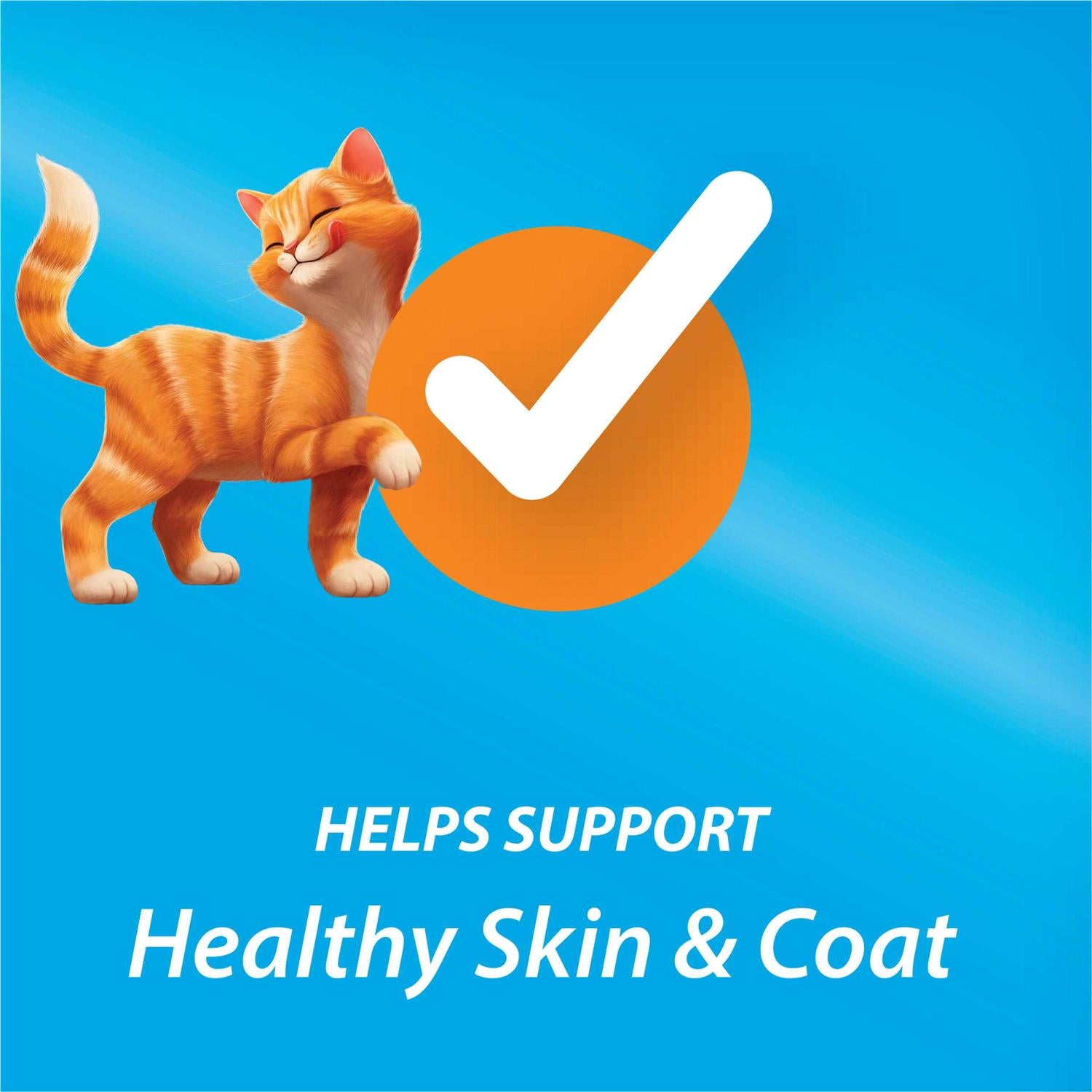Dry Cat Food J893020