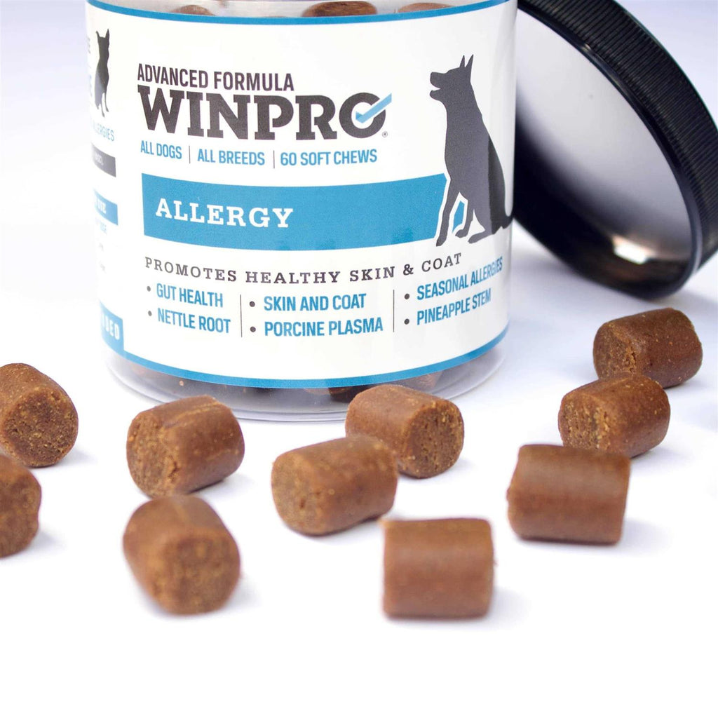 Pet Allergy Soft Chew Dog Supplement L661017