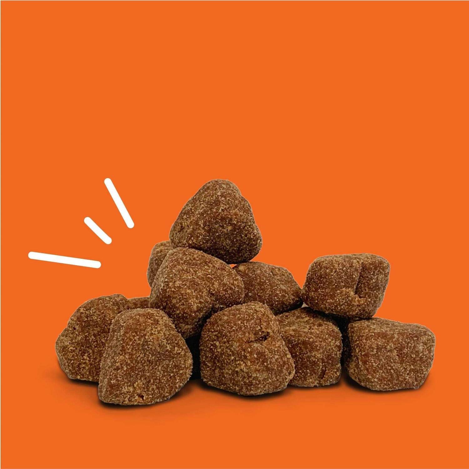 Probiotic Bites for Pets H279