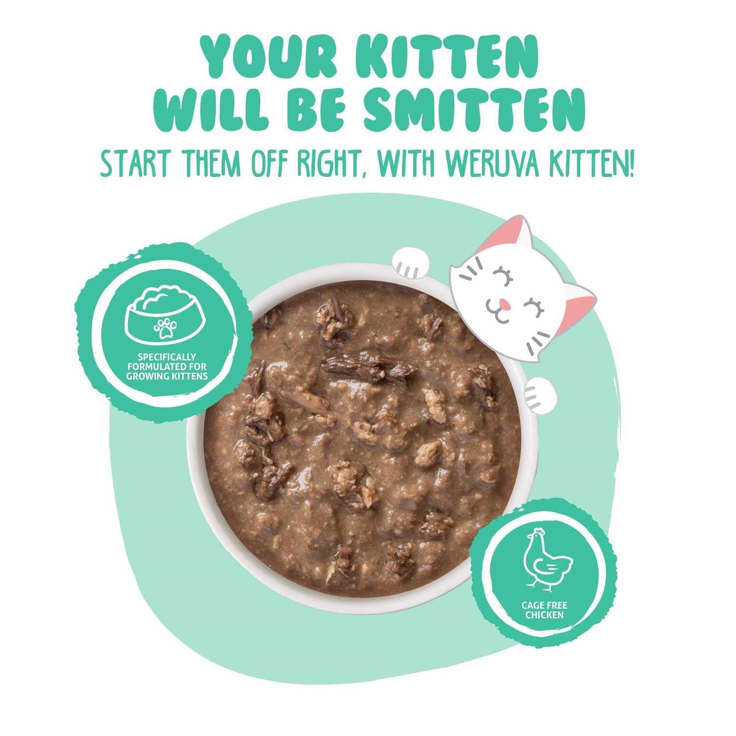 Kitten Chicken & Tuna in Gravy Wet Cat Food O391859