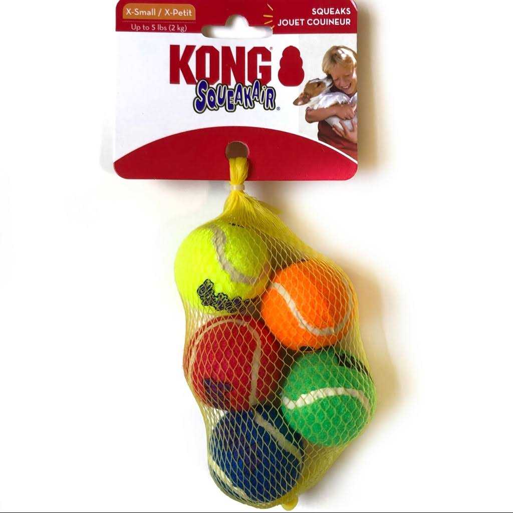 Squeakair Tennis Balls for Pets R63950