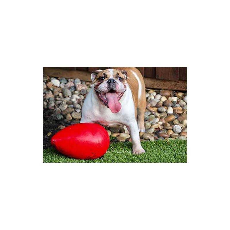 Pet Egg Toy Z83790
