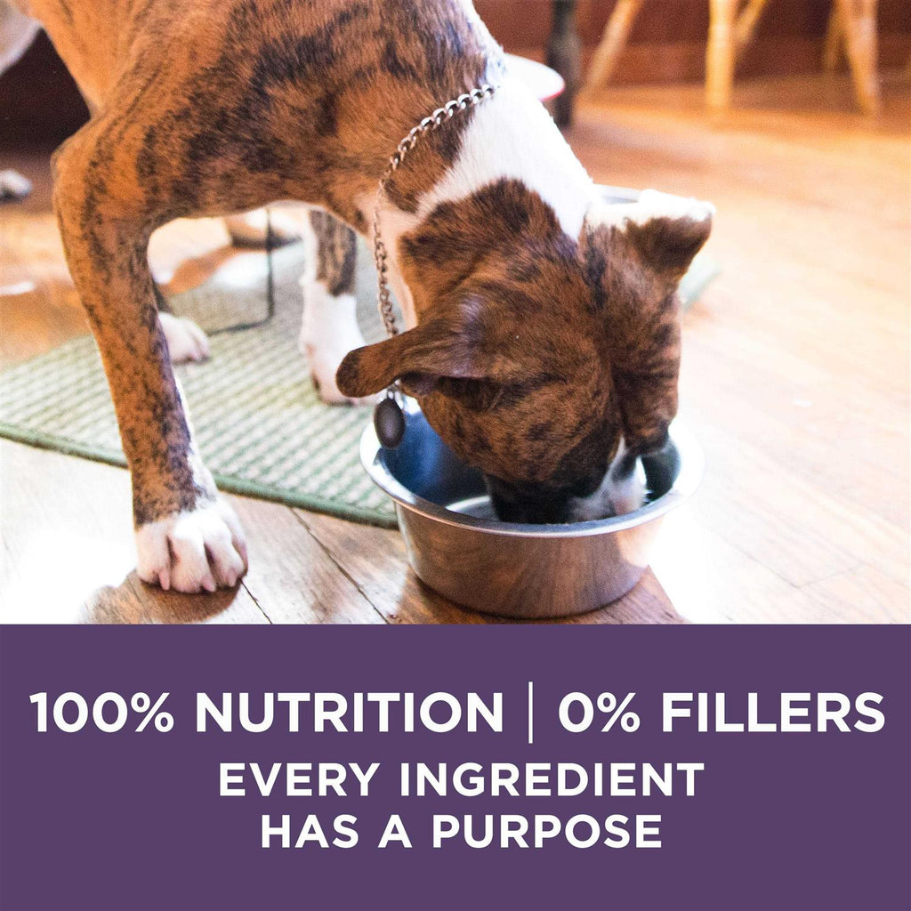 Adult Dry Dog Food for Senior Dogs H630