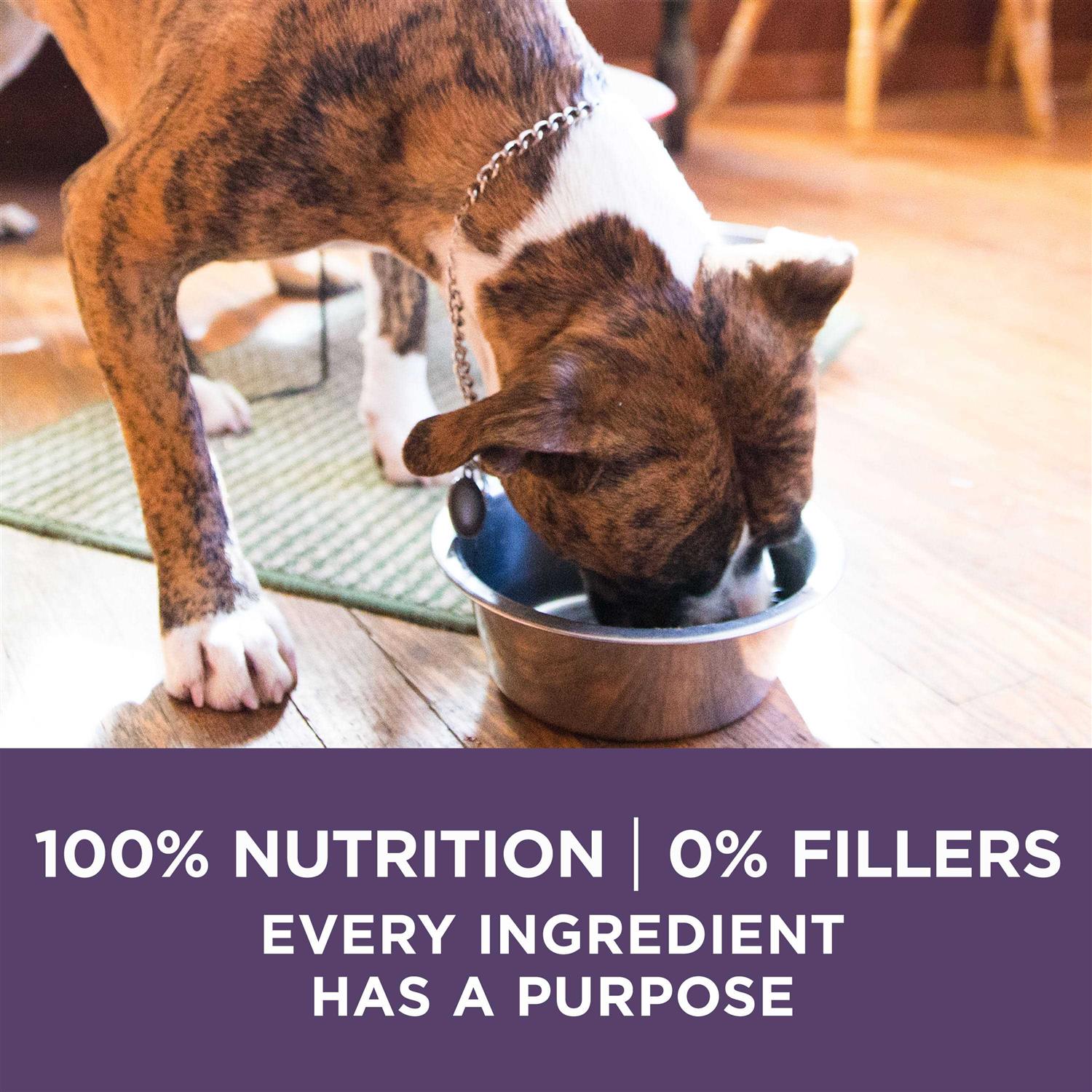 Adult Dry Dog Food for Senior Dogs H630
