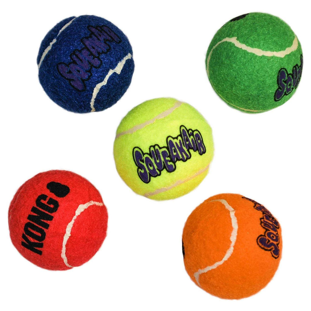 Squeakair Tennis Balls for Pets R63950