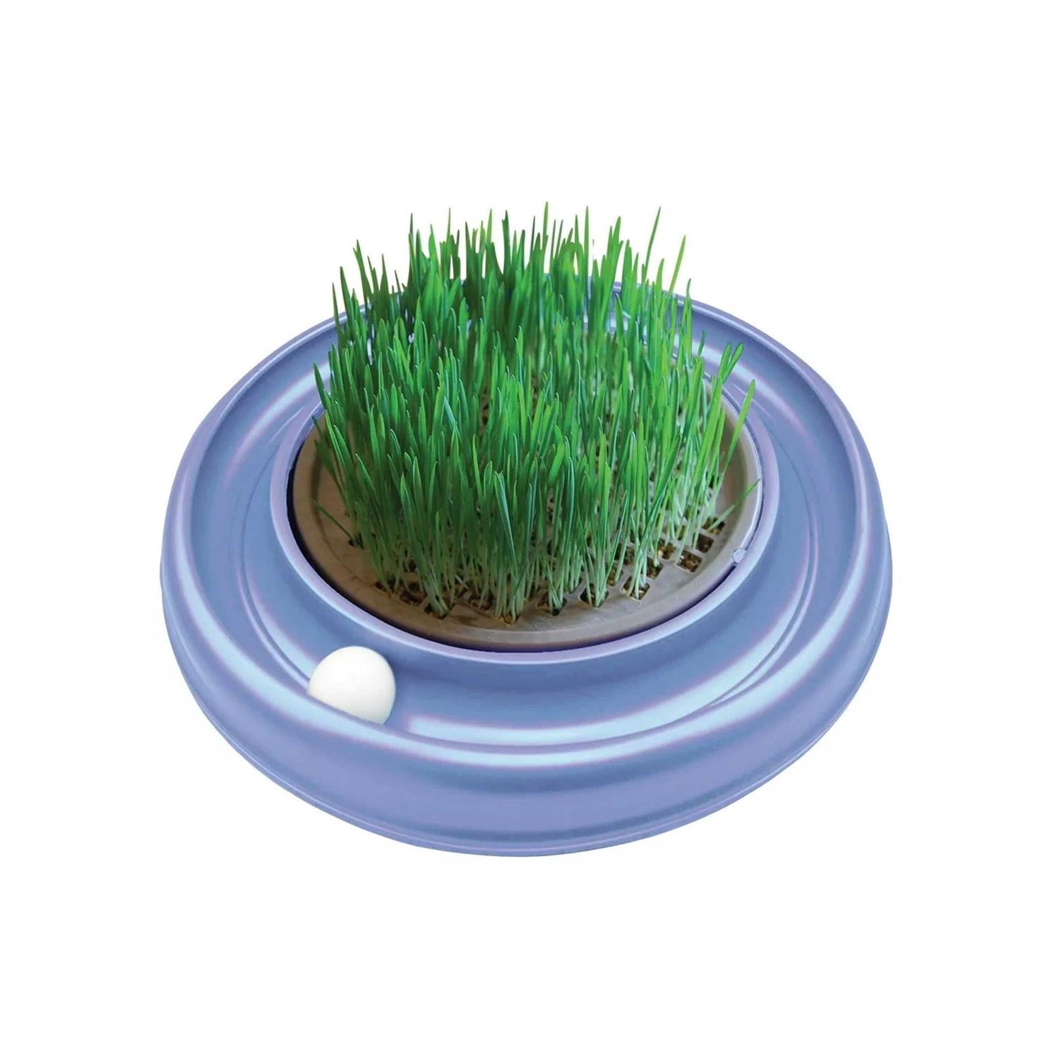 Cat Scratcher Toy with Track Ball T8468