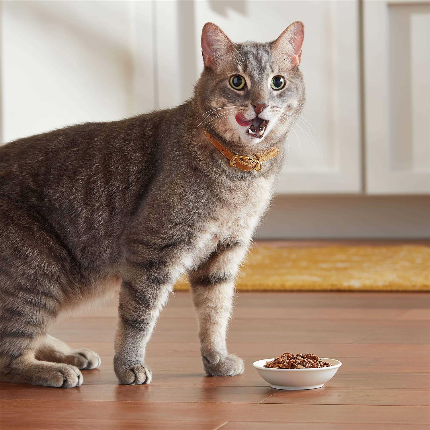 Tender Favorites Wet Cat Food J2797