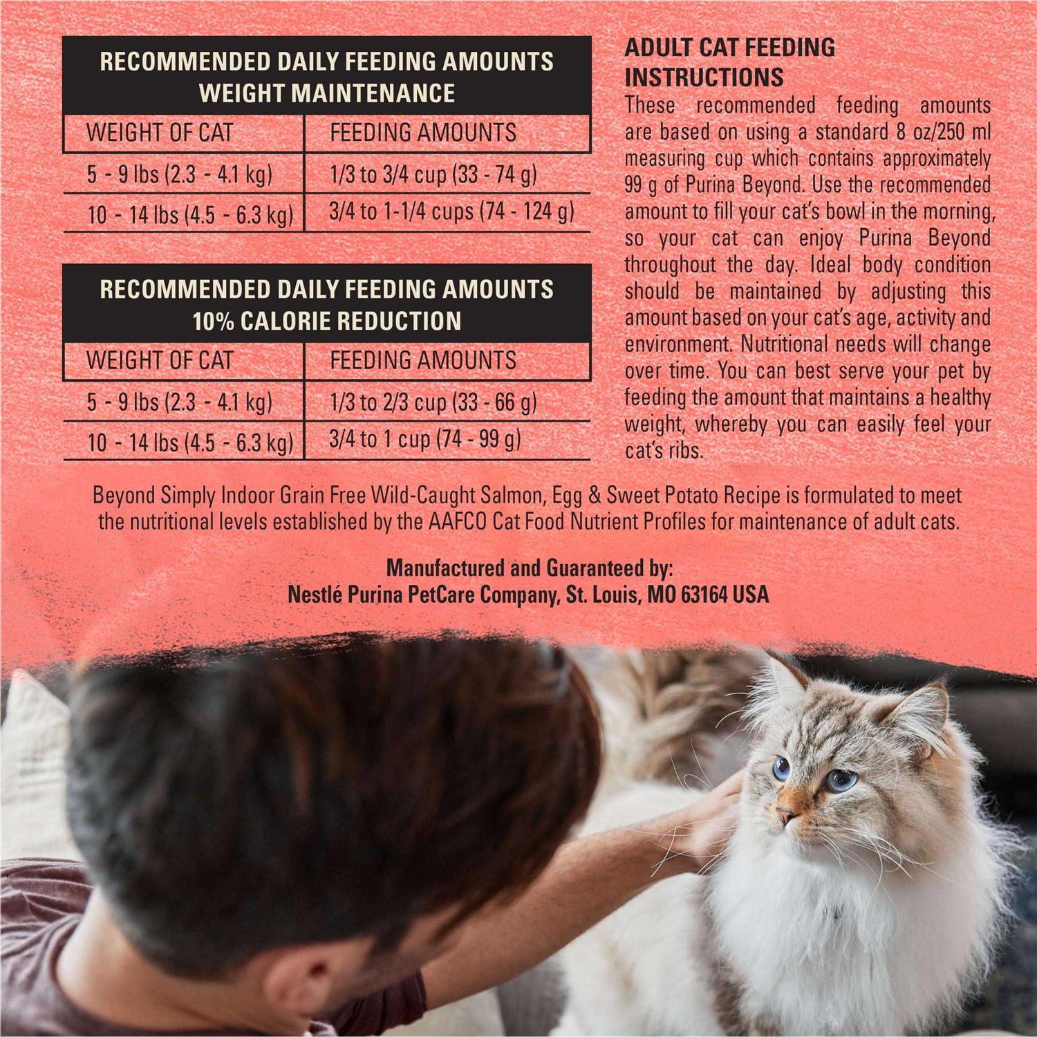 Indoor Salmon Dry Cat Food I38157