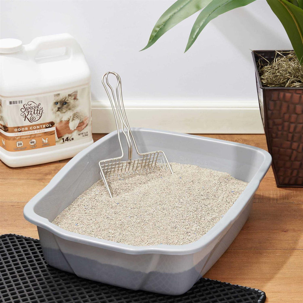 Odor Control Tight Clumping Cat Litter K162529