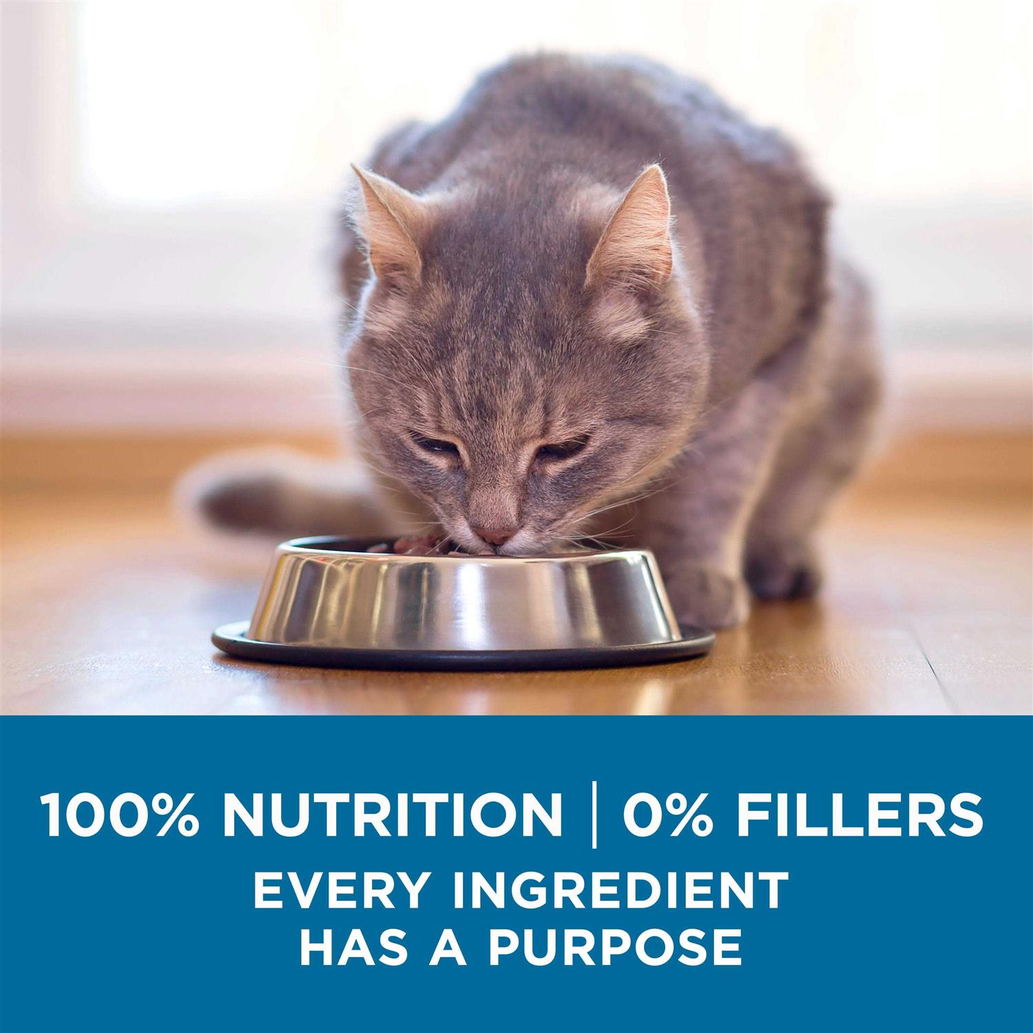 Senior Dry Cat Food for Older Cats A8484