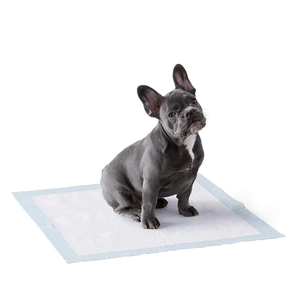 Dog and Puppy Pee Pads with Leak-proof Quick-dry Surface for Potty Training Y913