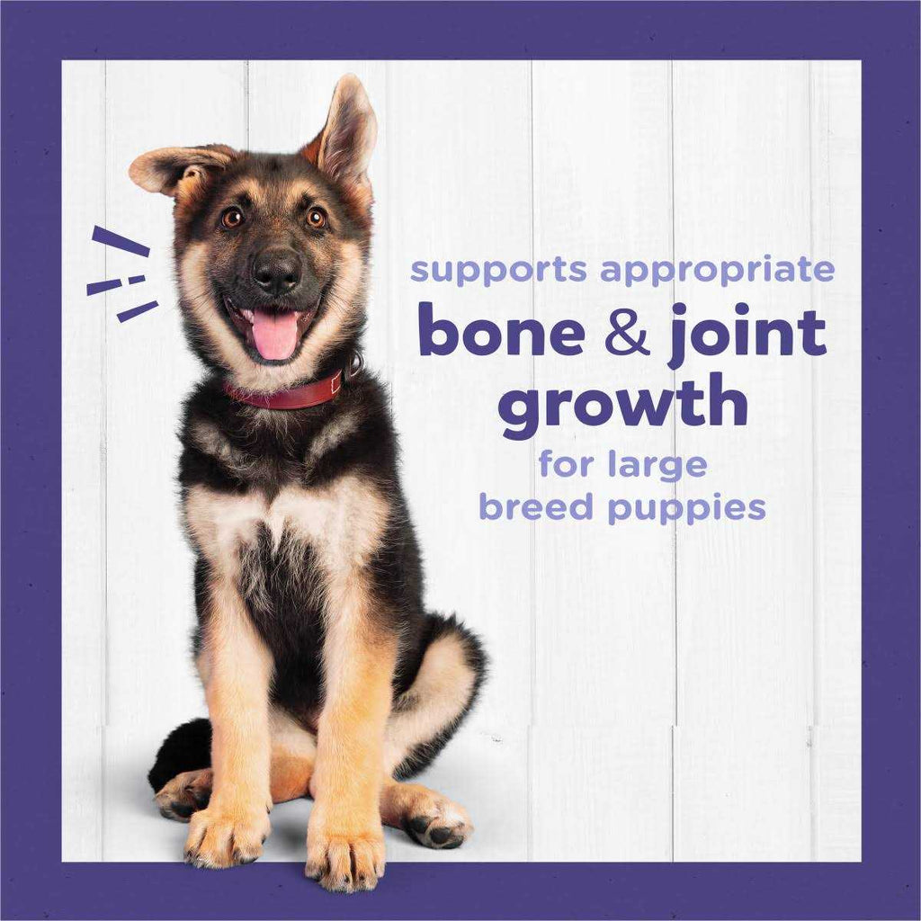 Large Breed Dry Puppy Food with Real Chicken K21288