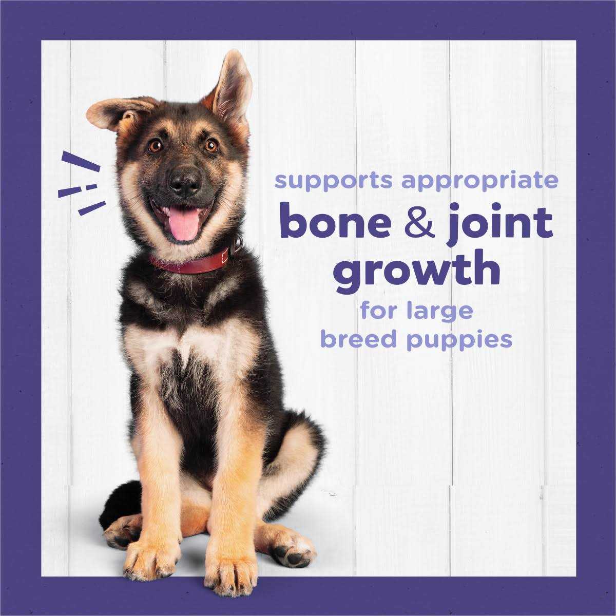 Large Breed Dry Puppy Food with Real Chicken K21288
