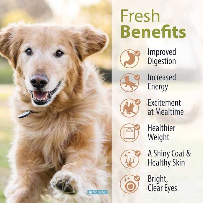 Renal Support Low Protein Diet for Dogs L80154