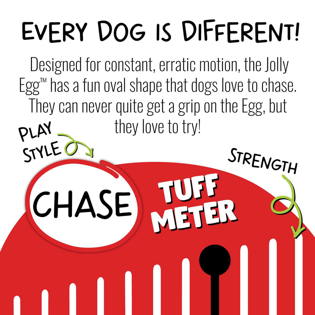 Pet Egg Toy Z83790
