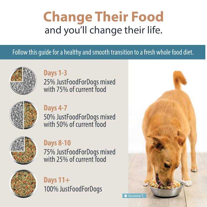 Renal Support Low Protein Diet for Dogs L80154