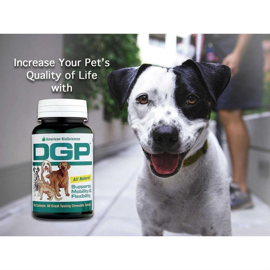 Pet Digestive Health Supplement G287146