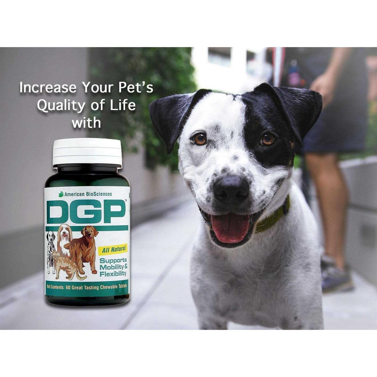 Pet Digestive Health Supplement G287146