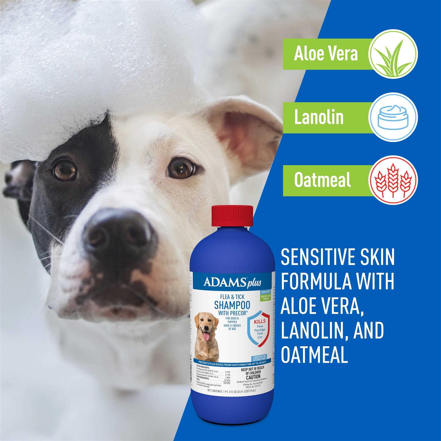 Flea and Tick Shampoo for Dogs and Cats H43223