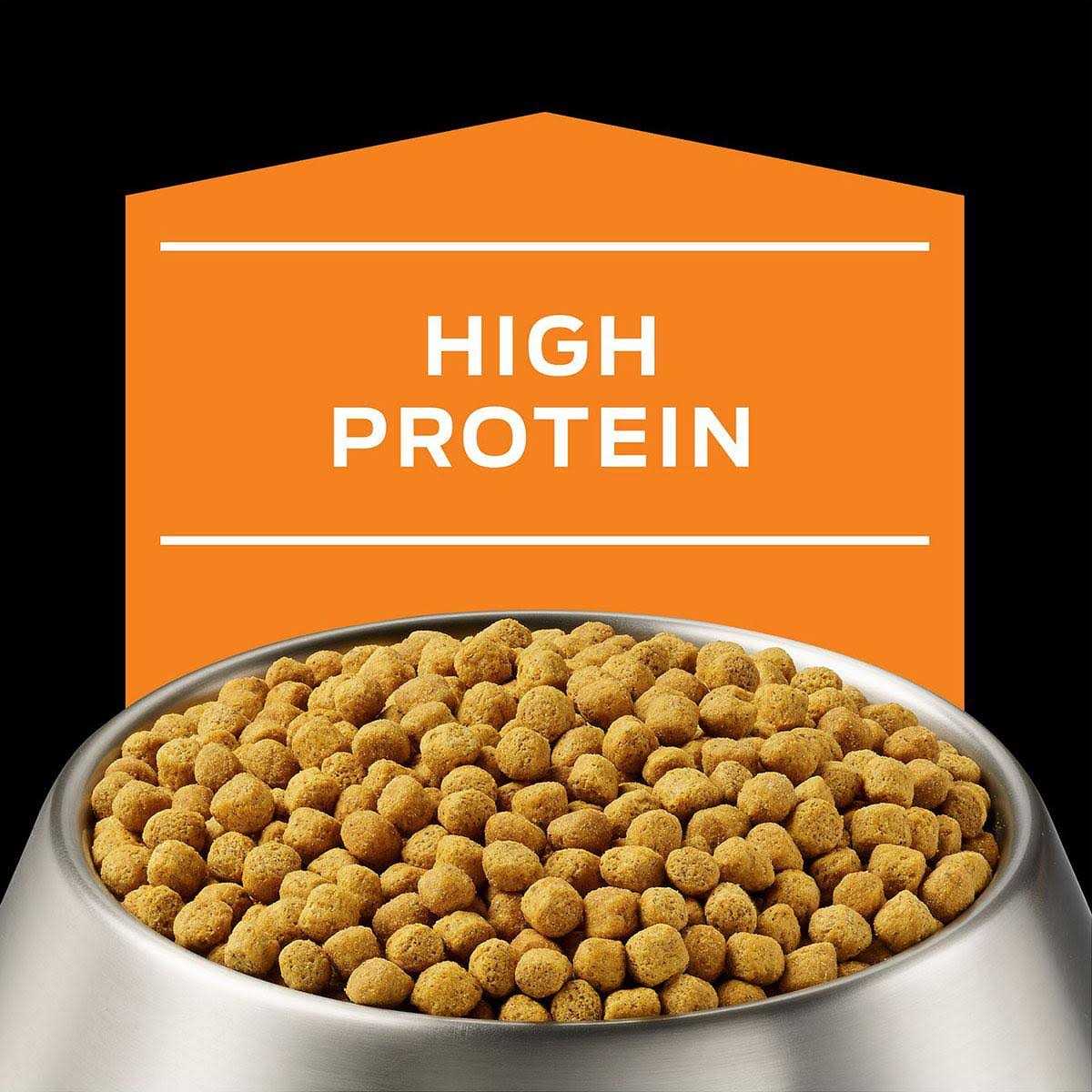 Overweight Management Dry Dog Food H84048