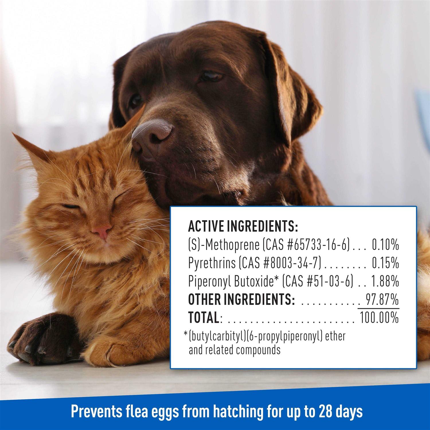 Flea and Tick Shampoo for Dogs and Cats D611979