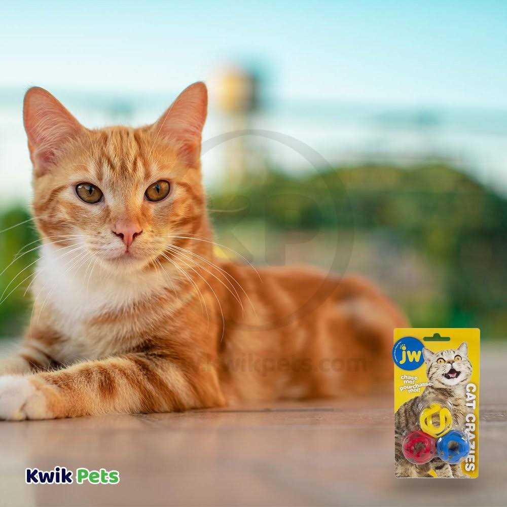 Cat Toy A4104