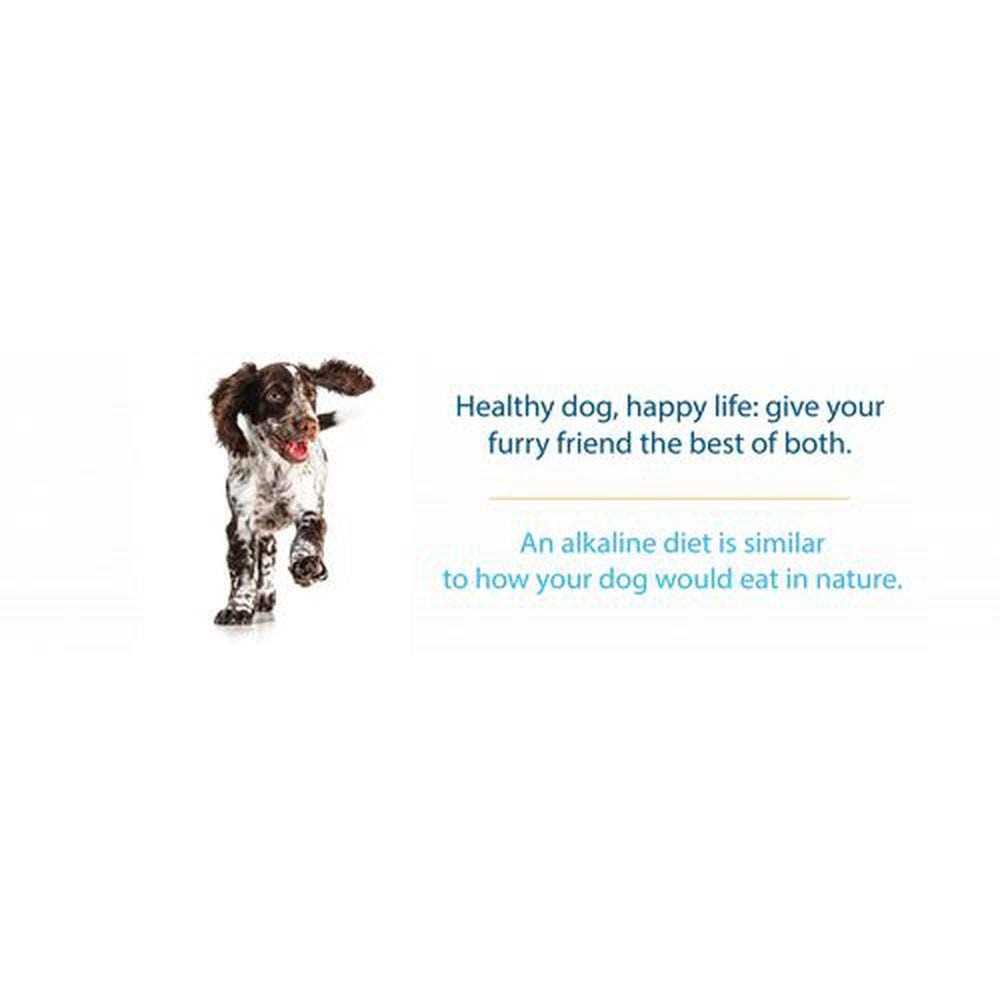 Limited Ingredient Dry Dog Food for All Life Stages K514571