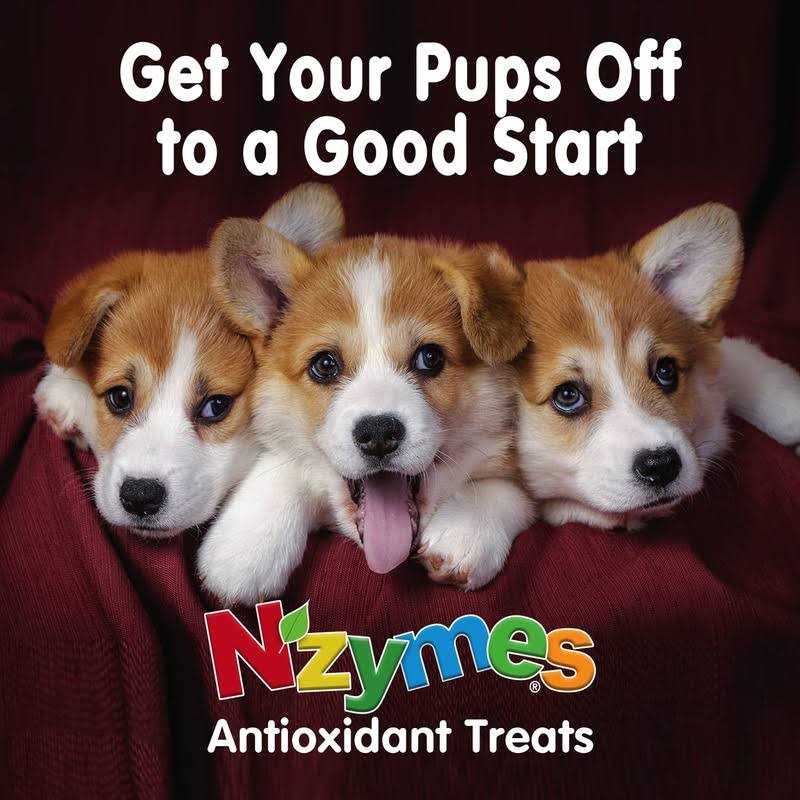 Antioxidant Treats for Pets S536