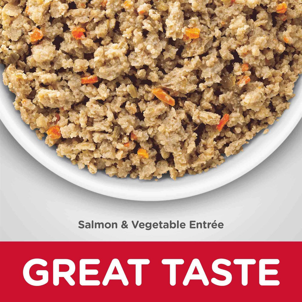 Sensitive Stomach & Skin Adult Dry Dog Food B146