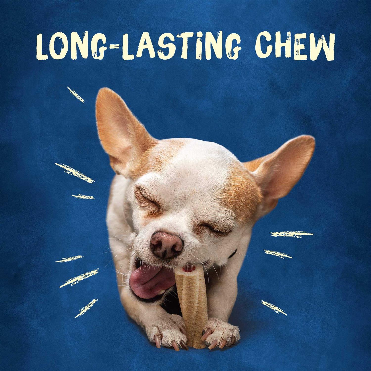 Tiny Dog Treats K96753