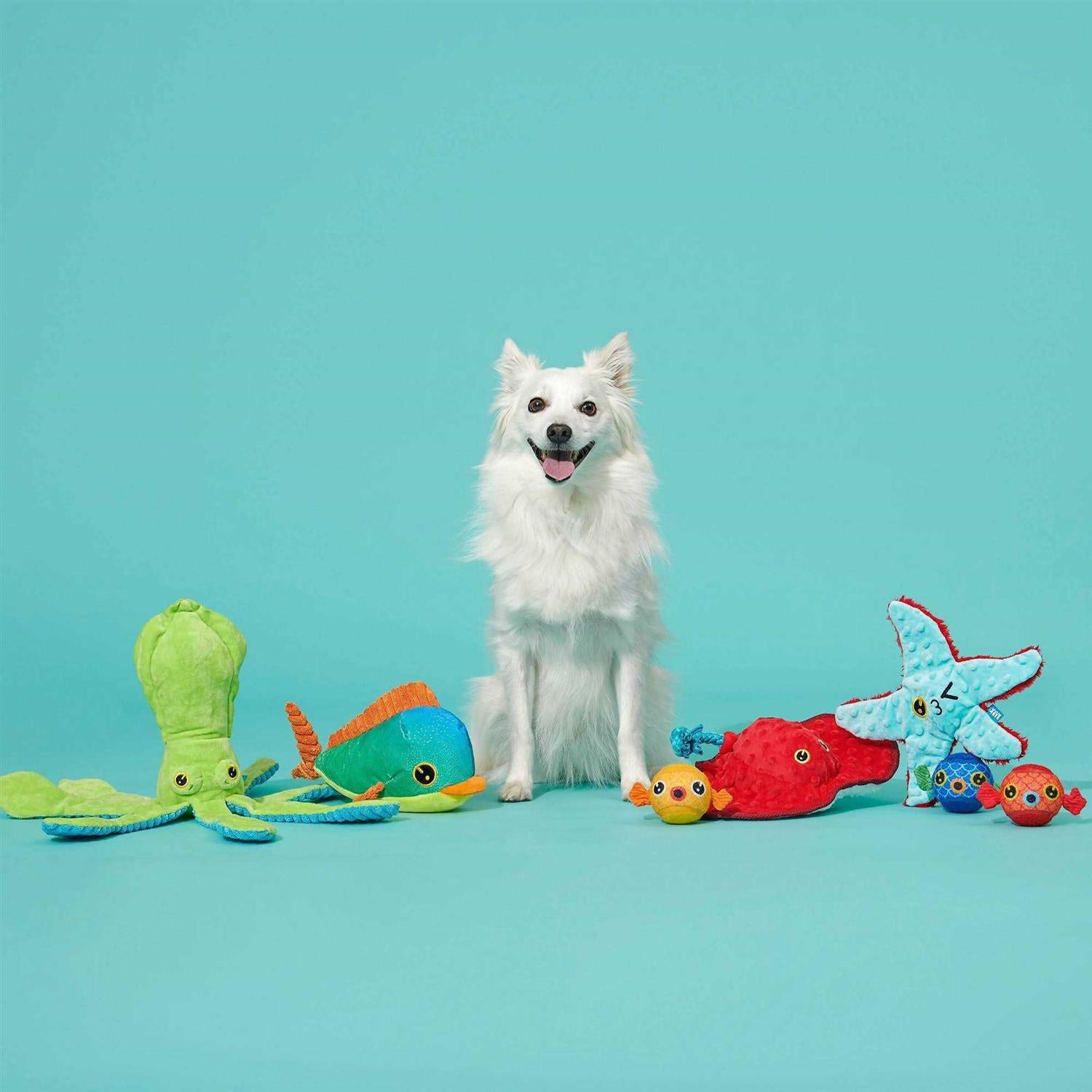 Sting Ray Dog Toy B52461