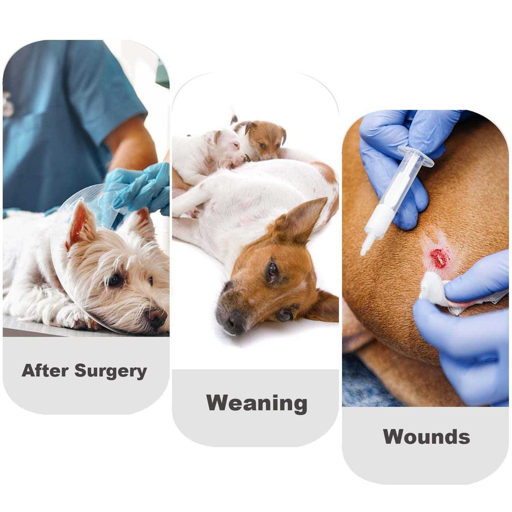 Dog Diapers Sanitary Panties Recovery Suit for Male and Female Dogs B442