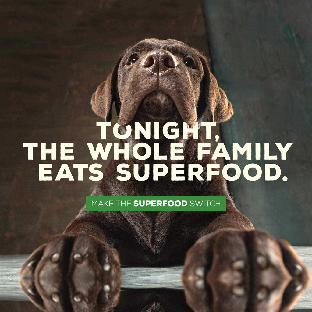 Grain Free Meal and Sweet Potato Recipe Dog Food I88367