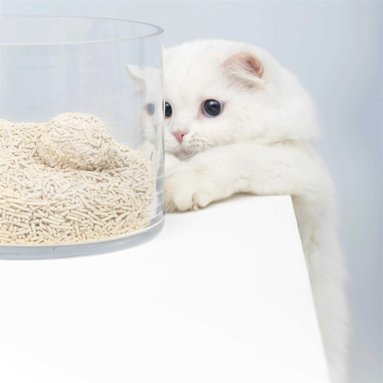 Natural Clumping Tofu Cat Litter 5.5lb P1493