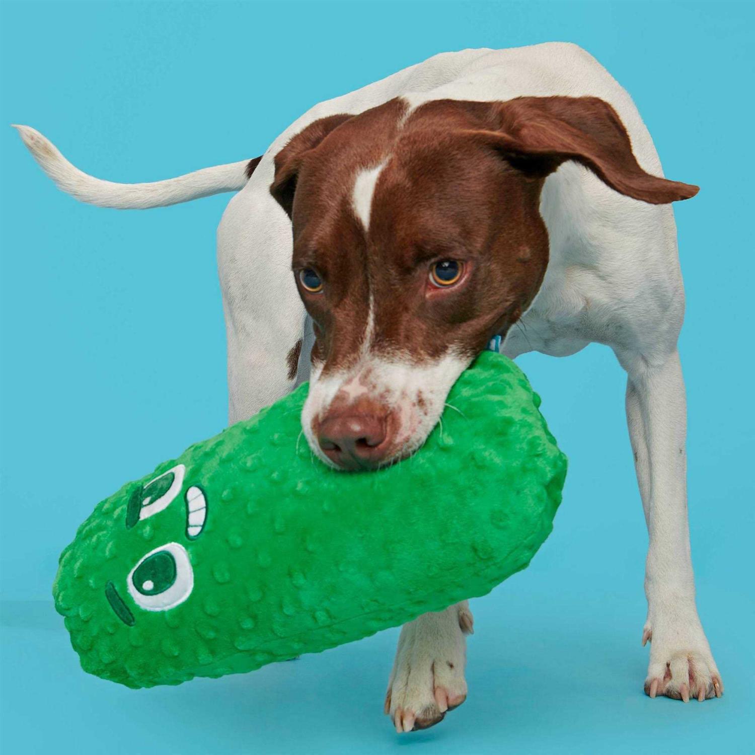 Big Dill Bill Dog Toy V6029