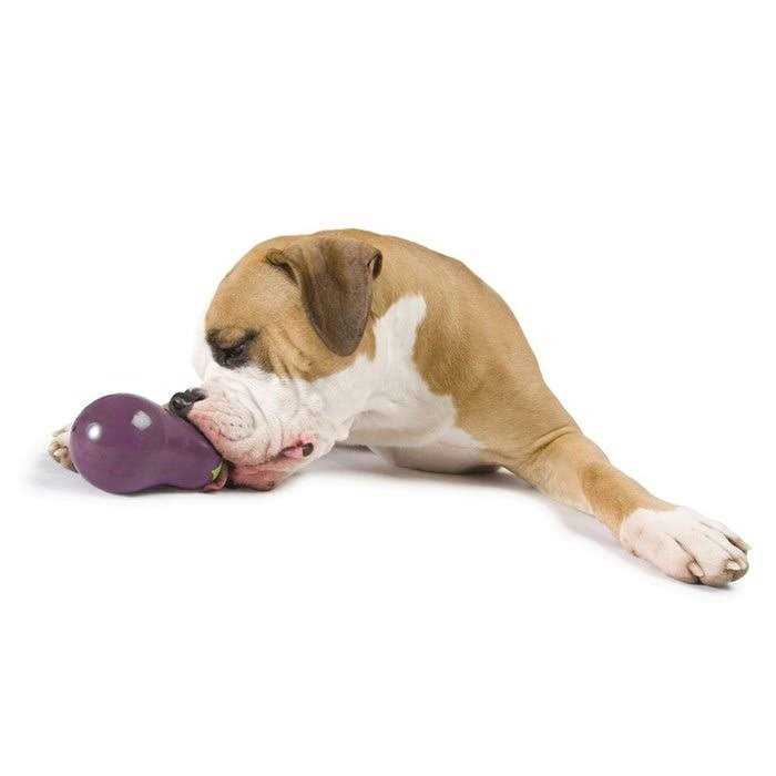 Dog Treat Dispensing Toy H29356