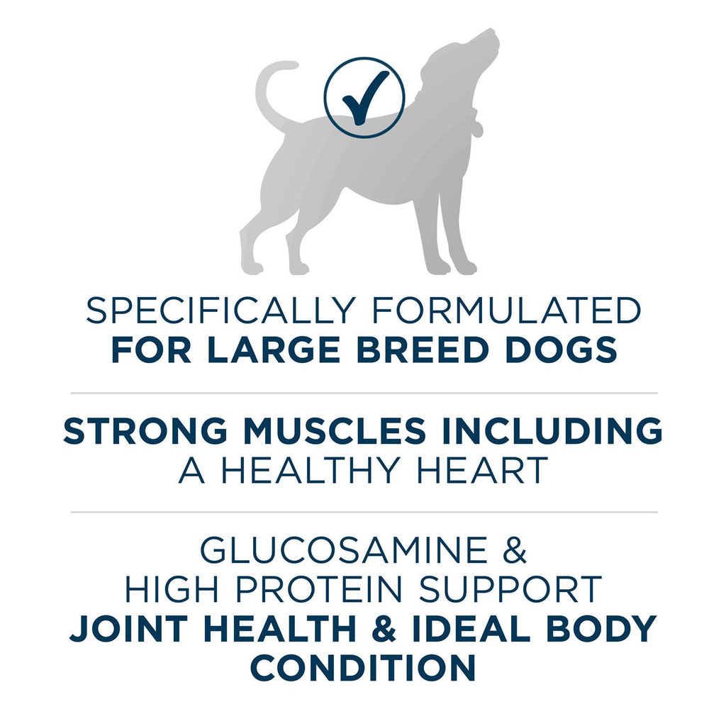 Large Breed Adult Dry Dog Food B54545
