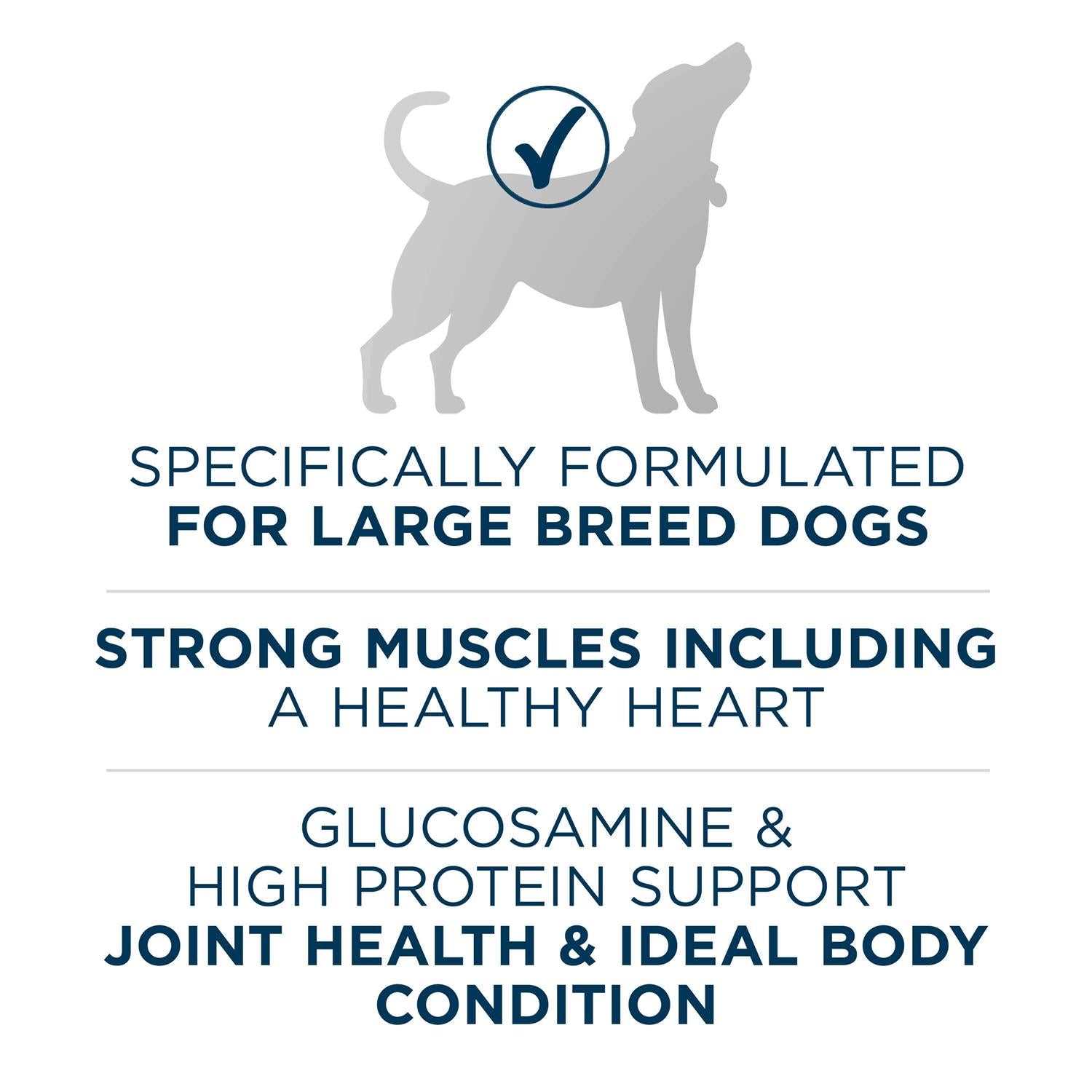 Large Breed Adult Dry Dog Food B54545