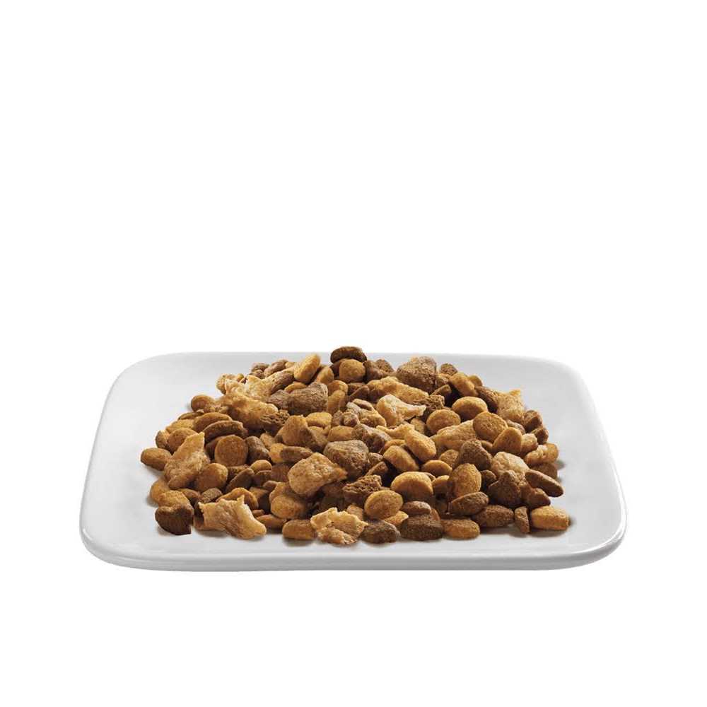 Indoor Hairball Control Dry Cat Food, Turkey & Rice Formula G33418