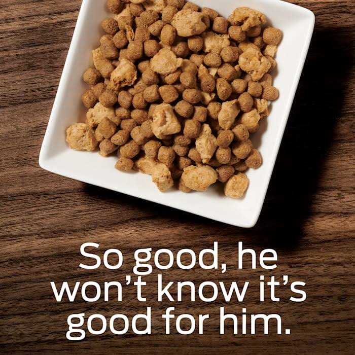 Overweight Management Dry Dog Food D295