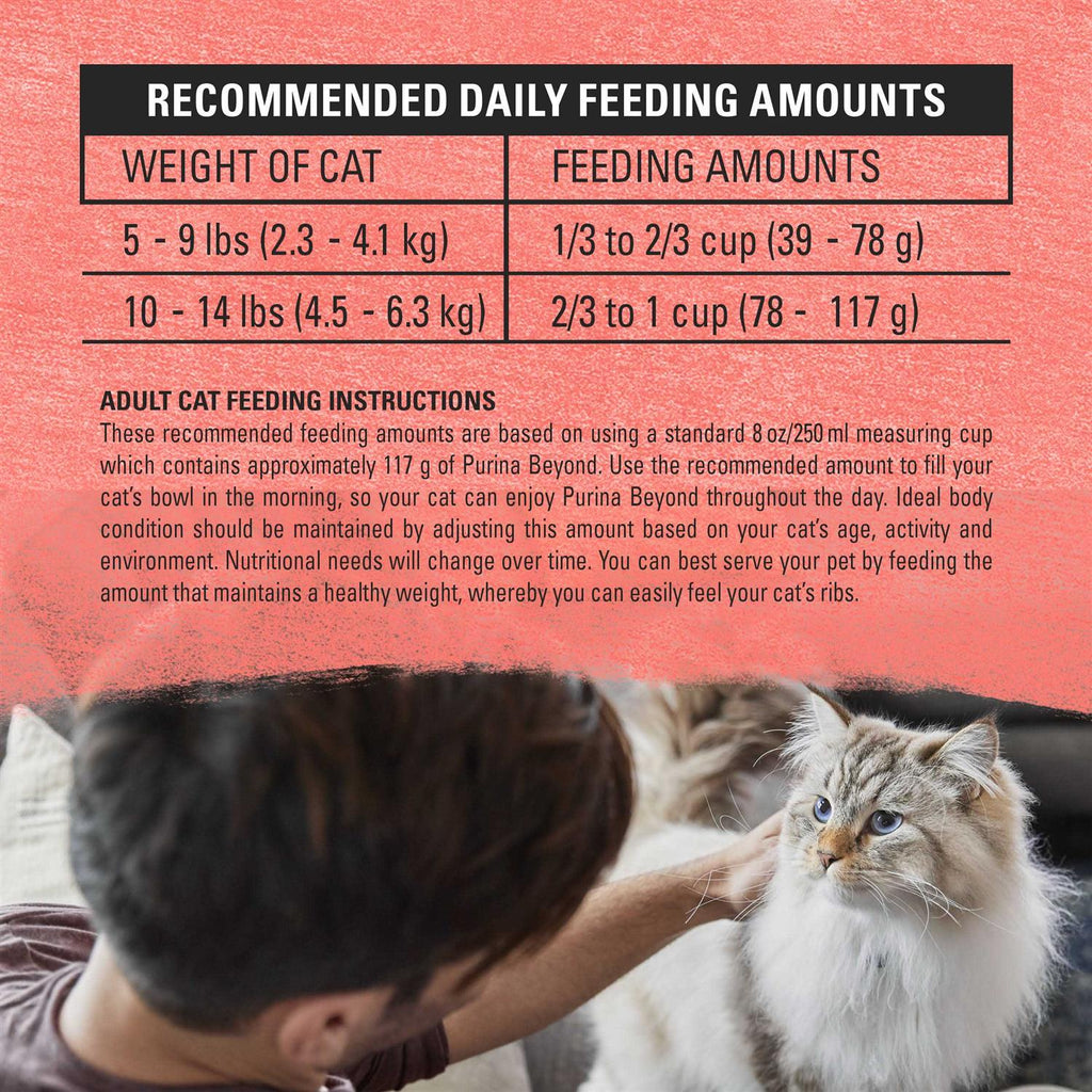 Cat Dry Food M218064