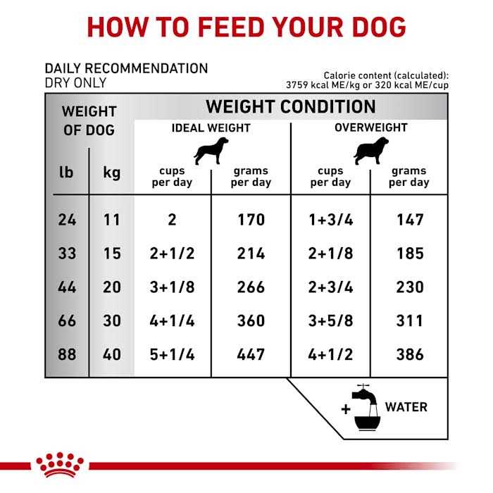 Veterinary Diet Canine Dental Dry Dog Food for Medium & Large Breeds J896339