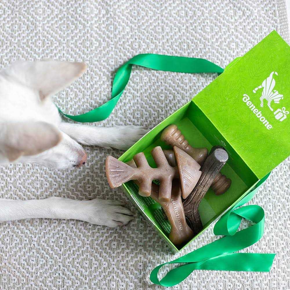 Dog Chew Toy Holiday 4 Pack I135828