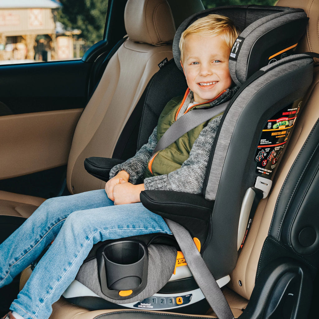Harness + Booster Car Seat - Shadow (Black) O257853
