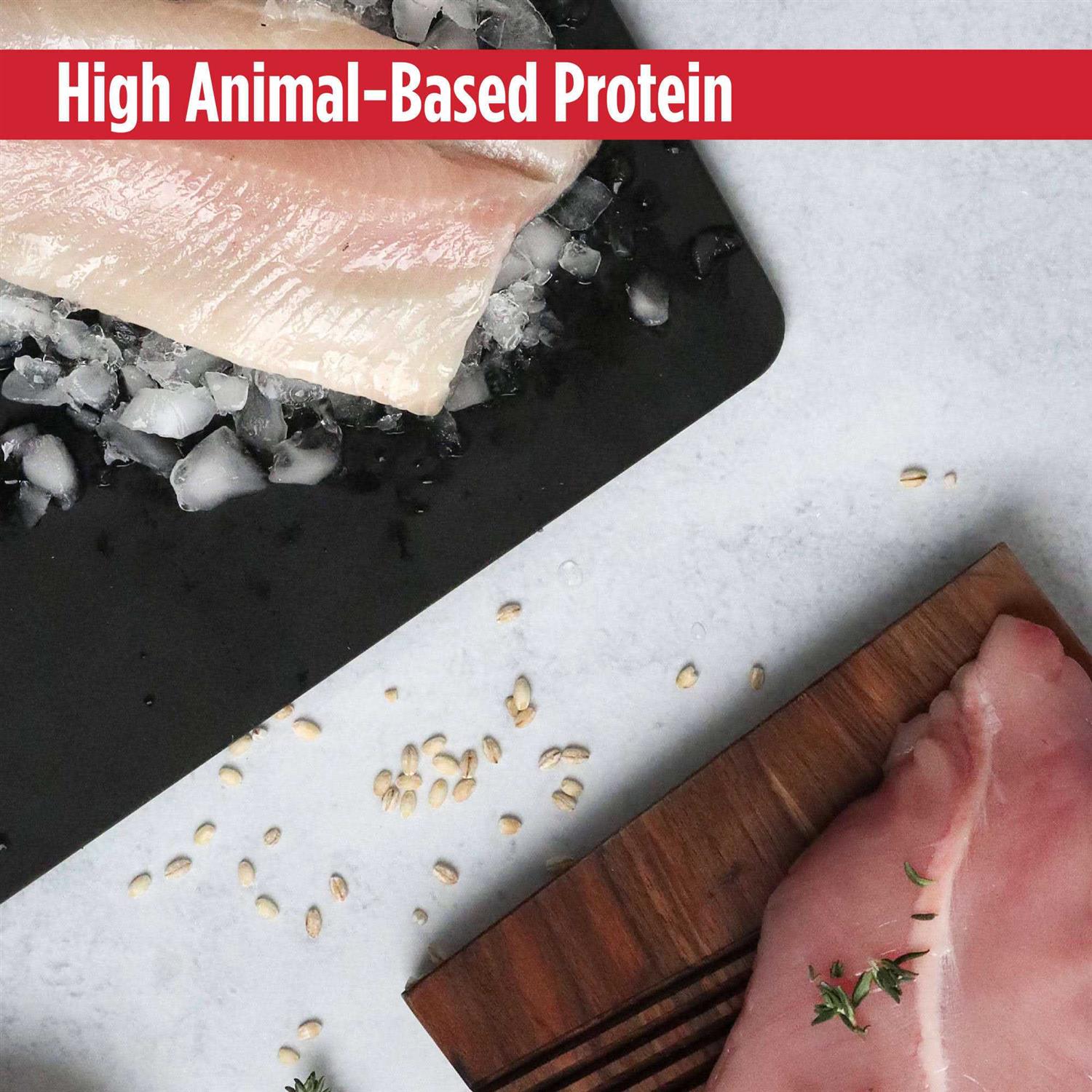 Grain-Free Turkey & Cod Dry Cat & Kitten Food C568430
