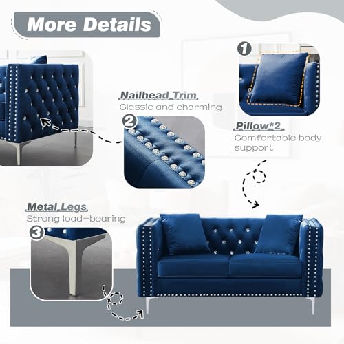 Velvet Loveseat Sofa for Living Room, 59 Inch Modern Upholstered with Pillows, Black W6680