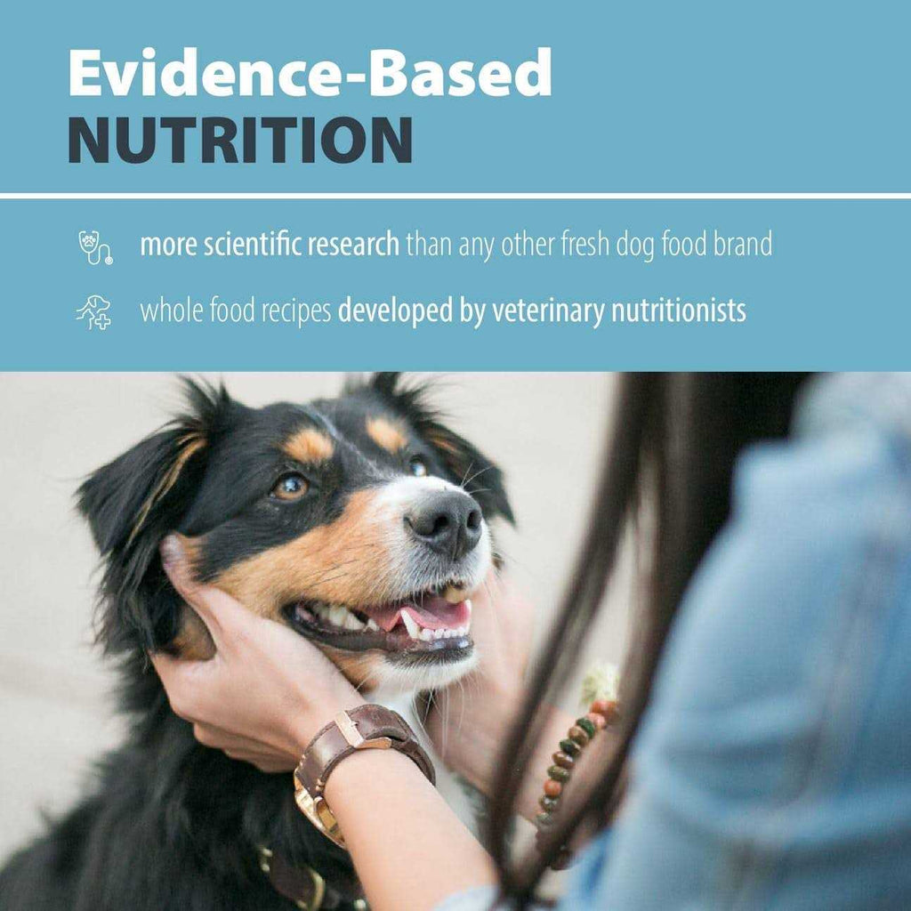 Balanced Remedy Frozen Dog Food B8072